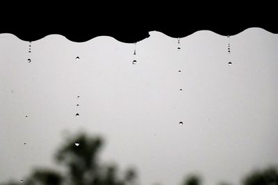 Close-up of water drops on glass