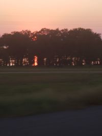 Scenic view of illuminated trees against sky at sunset
