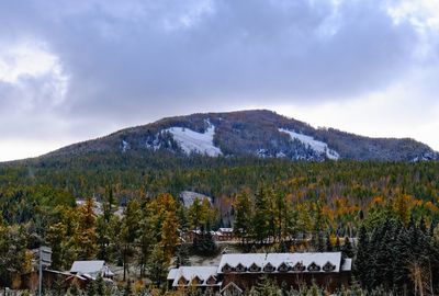 mountain