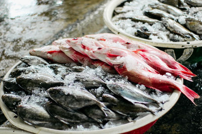 High angle view of fish for sale