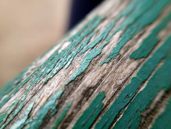 Close-up of wooden plank