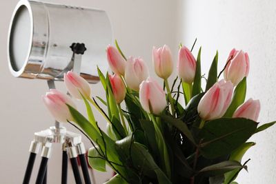 Close-up of pink tulips in vase on table