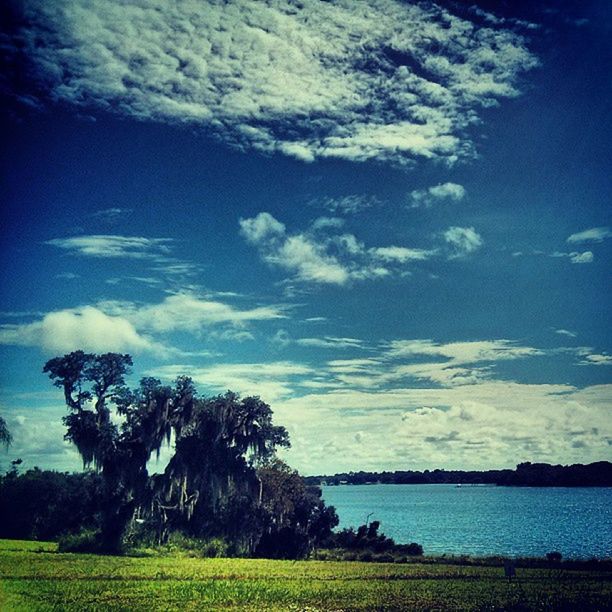 tranquil scene, sky, tranquility, scenics, beauty in nature, field, landscape, tree, grass, blue, nature, cloud - sky, cloud, growth, idyllic, green color, non-urban scene, water, rural scene, outdoors