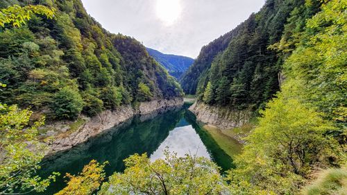 Scenic view of lake amidst trees in forest against sky