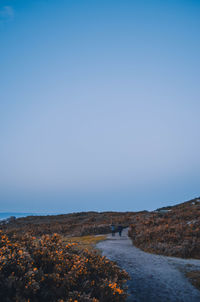 Scenic view of road by sea against clear sky