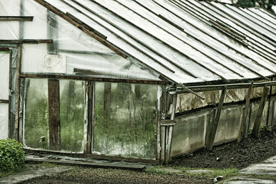 Exterior of greenhouse