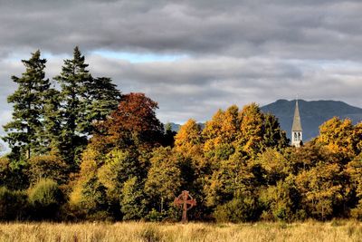 Trees on field against cloudy sky