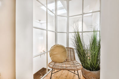 Potted plants on table at home