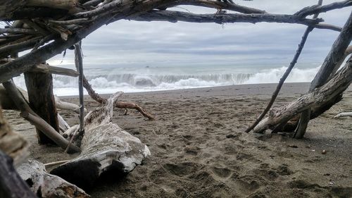 Close-up of beach by sea against sky