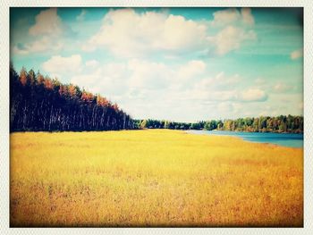 Scenic view of field against cloudy sky