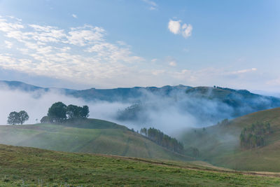 Scenic view of landscape against sky