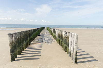 A wonderful day at the netherlands zeeland shore.