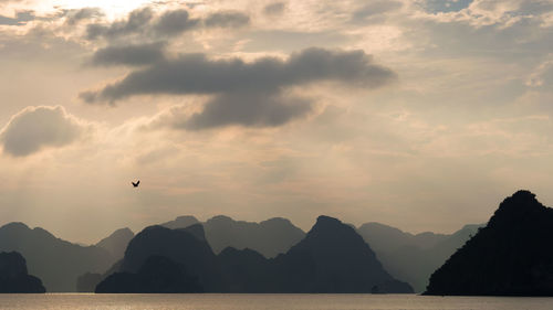 Silhouette birds flying over sea against sky