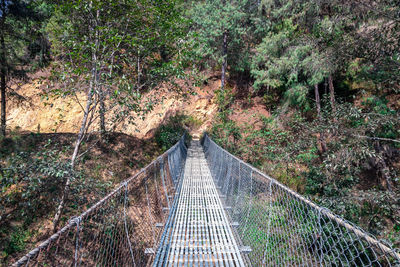 Footbridge amidst trees in forest