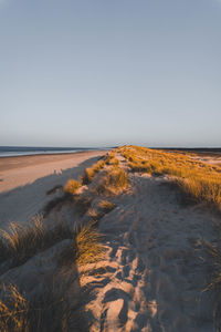 Scenic view of sea against clear sky