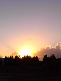 Silhouette of trees at sunset