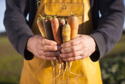 Midsection of man holding carrots