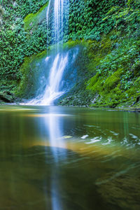 Scenic view of waterfall in forest