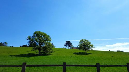 Scenic view of grassy field against cloudy sky