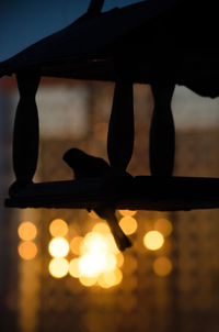 Close-up of silhouette bird perching on a water
