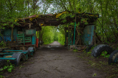 Empty road amidst trees in forest