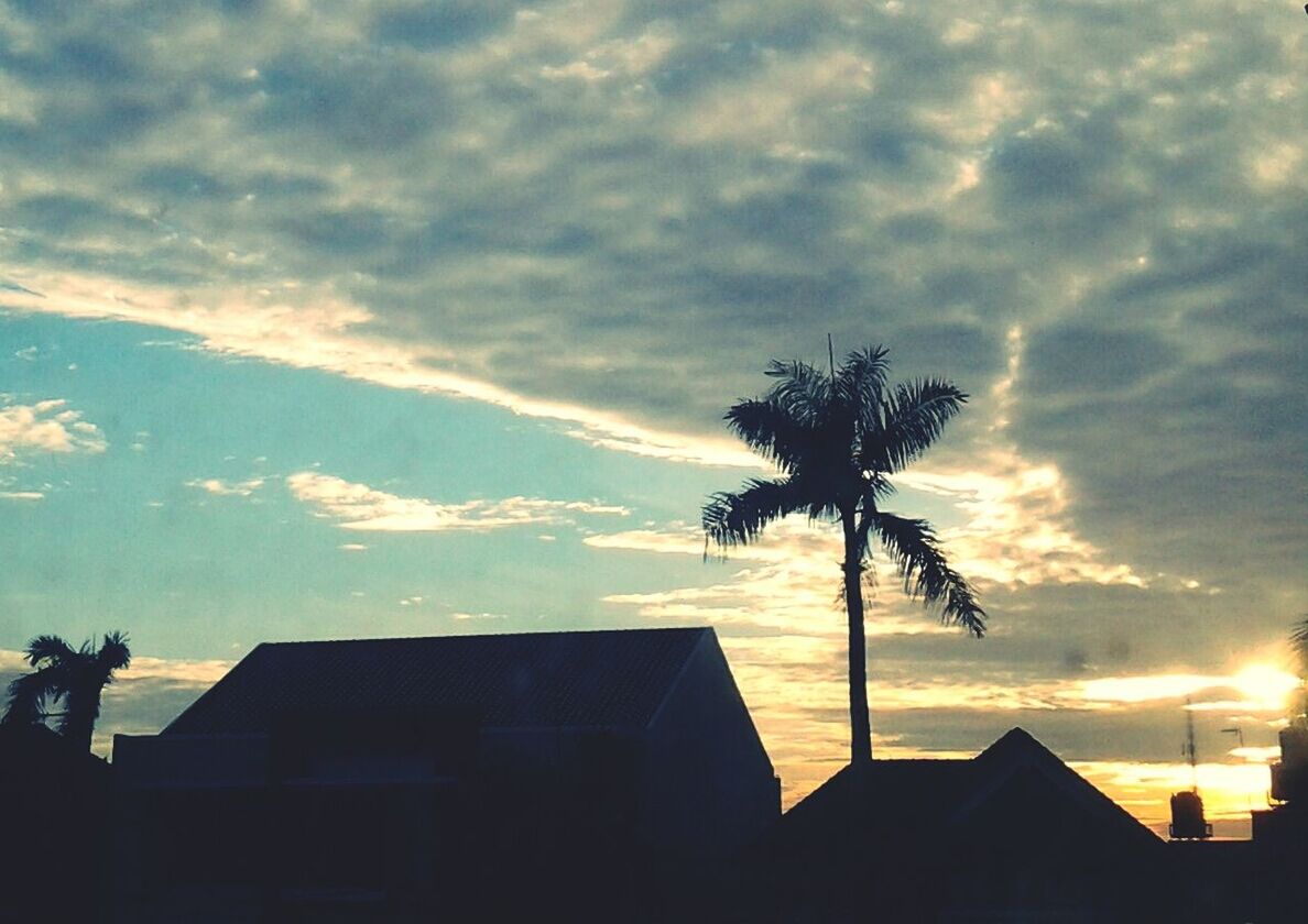 silhouette, sky, sunset, tree, cloud - sky, building exterior, built structure, architecture, low angle view, palm tree, cloud, cloudy, house, beauty in nature, nature, scenics, outline, tranquility, dusk, outdoors