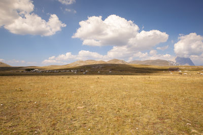 Distant view of sheep on field against sky