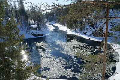 Scenic view of river in forest during winter