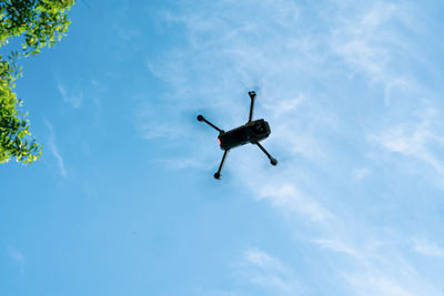 Drone view from the bottom. sunny skies in the forest.