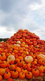 Full frame shot of vegetables against clear sky