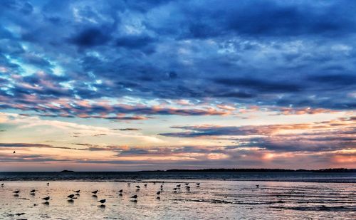 Scenic view of beach against sky during sunset