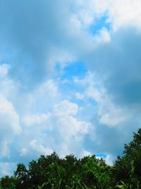 Low angle view of trees against sky