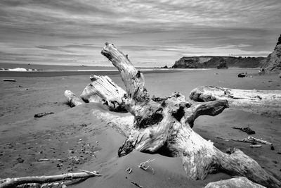Abandoned driftwood on beach against sky