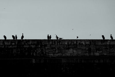 Low angle view of tree