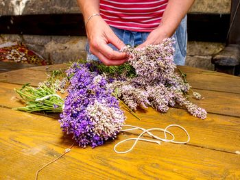 Girl prepare aromatical medicinal herb for bedrooms. bunch of fresh lavender, lavandula angustifolia