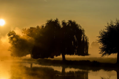 Silhouetted trees with lake at dusk