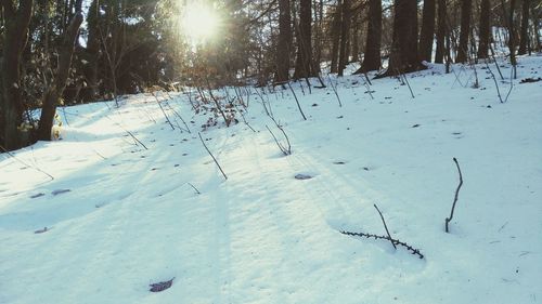 Scenic view of snow covered landscape