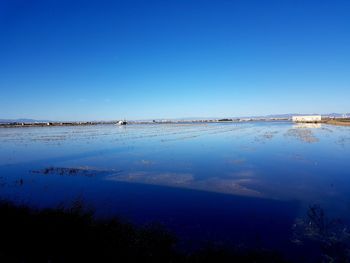 Scenic view of lake against clear blue sky