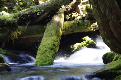 Close-up of water flowing through rocks in river