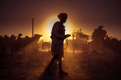 Man with camels walking on field against sky during sunset