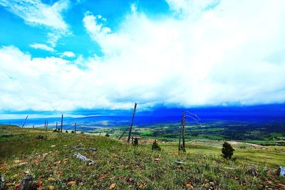 Scenic view of field against sky