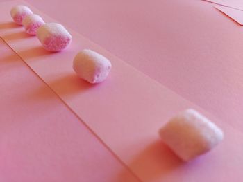 Close-up of pink petals
