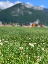 Scenic view of grassy field against mountains