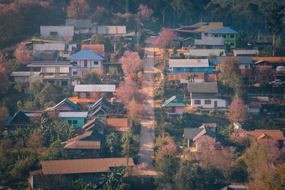 High angle view of townscape and trees in city