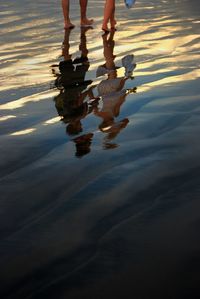 Low section of person walking in water