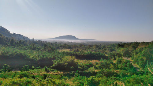 Scenic view of landscape against clear sky