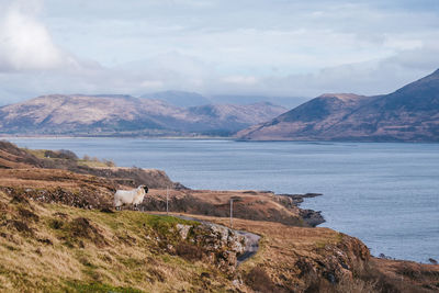 Scenic view of sea and mountains against sky