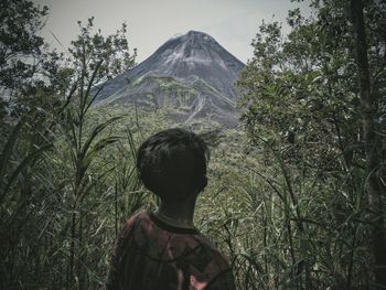 Rear view of man standing in forest