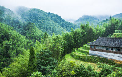 High angle view of green landscape against sky