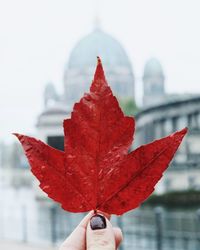 Cropped hand of woman holding red wet maple leaf against berlin cathedral